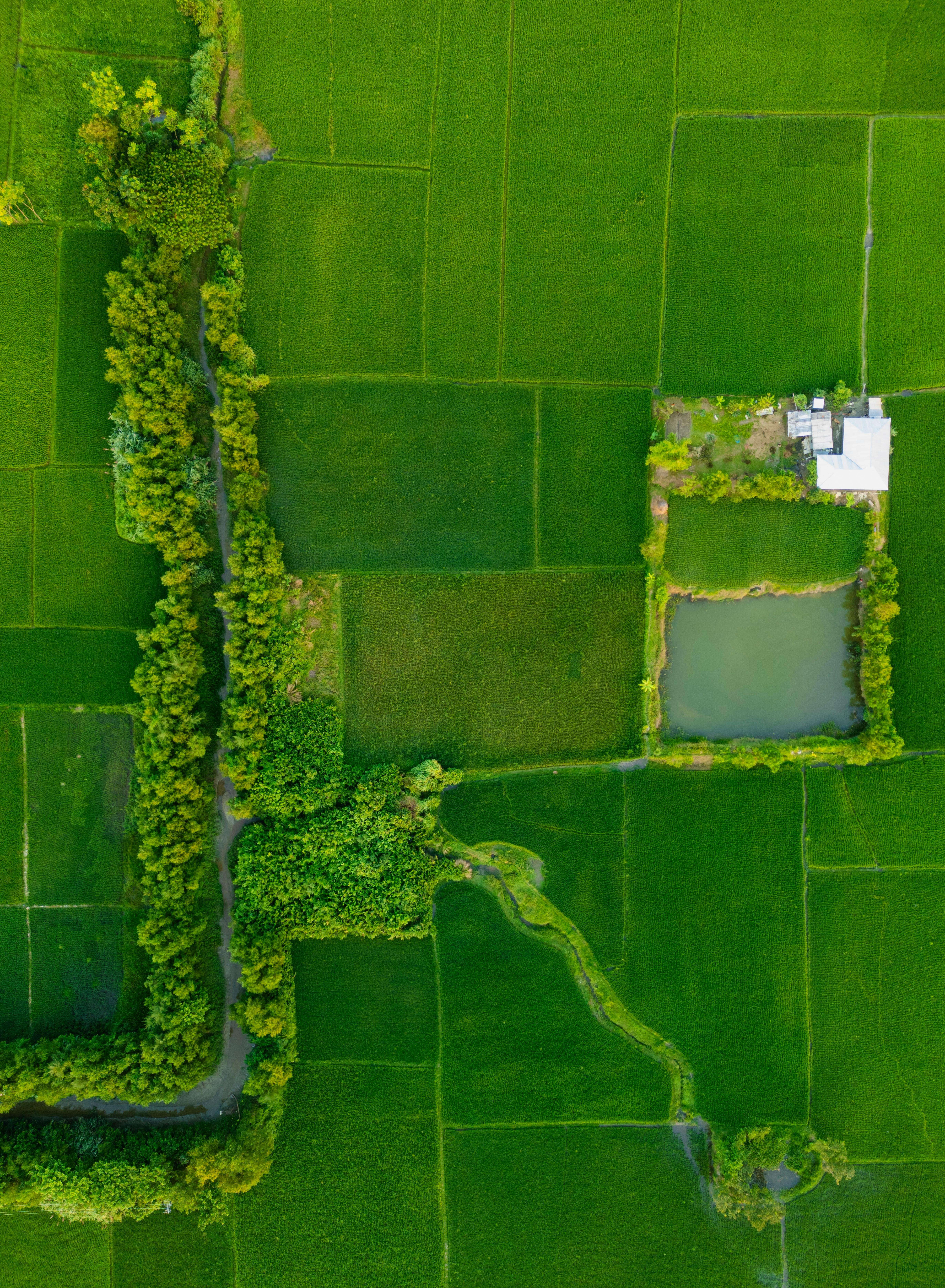 Prise de vue