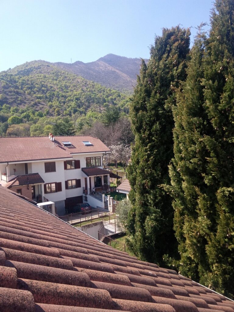 roof, houses, mountain, tiled roof, village, buildings, trees, nature, musine, turin, piedmont, italy